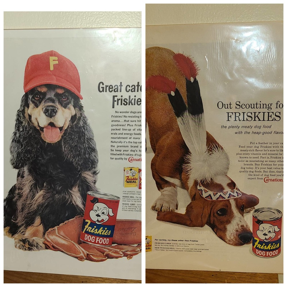 Friskies Dog Food 60s Vintage Print Ad Spaniel Hound  pet food animal art
